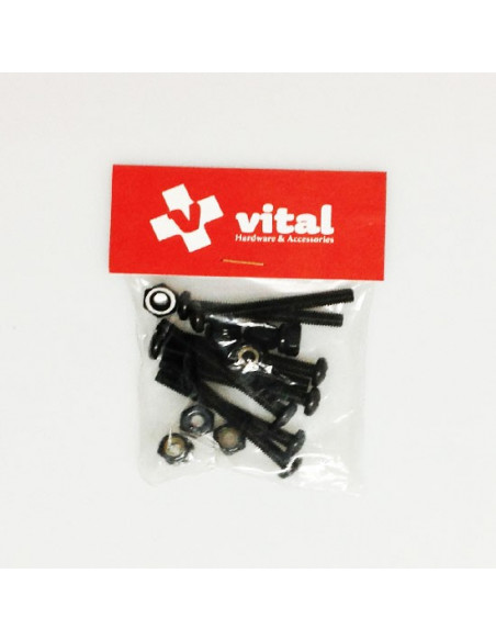 tornillos vital pan head phillips