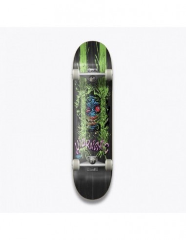 hydroponic critter saturno schwarz 7.375 - skate komplett