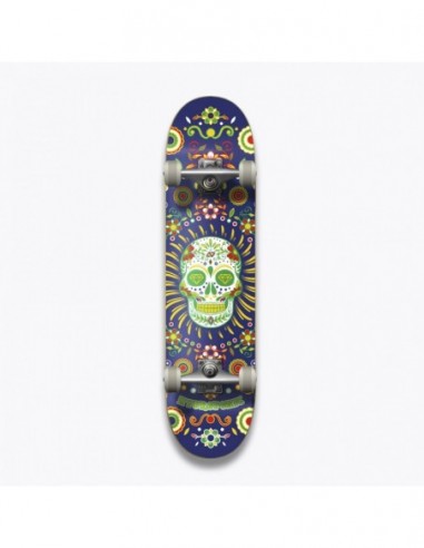 hydroponic mexican skull navy 8 - skate komplett"