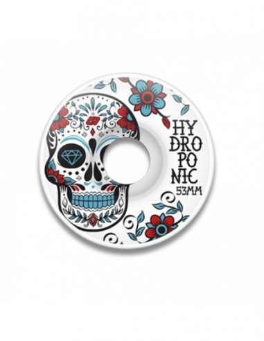 rollen hydroponic mexican skull türkis 53mm