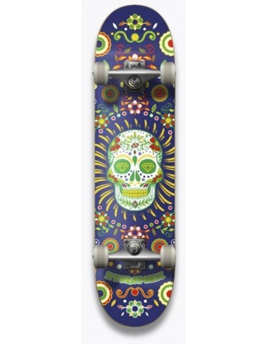 hydroponic mexican skull navy 7.25 - skate komplett